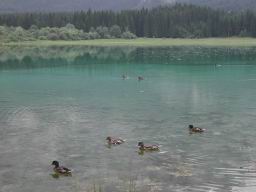 DSCN7415.JPG