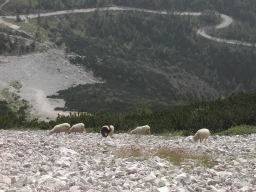 DSCN7442.JPG