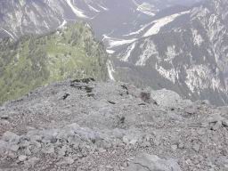 DSCN7481.JPG