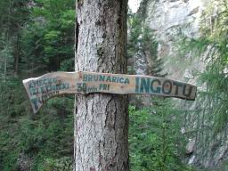 DSCN7497.JPG
