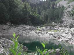 DSCN7517.JPG