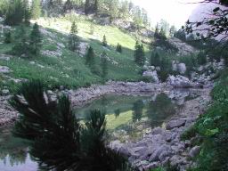 DSCN7526.JPG