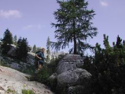 DSCN7529.JPG
