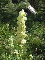 DSCN7536.JPG