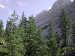 DSCN7537.JPG