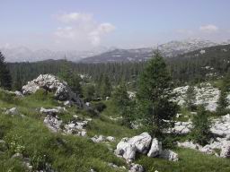 DSCN7538.JPG