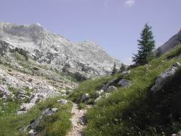 DSCN7539.JPG