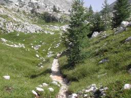DSCN7545.JPG