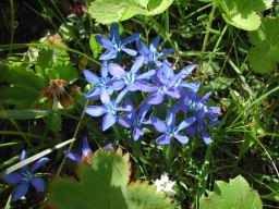 DSCN7562.JPG