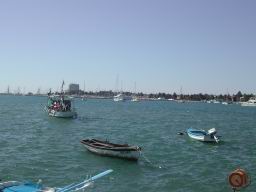 DSCN7678.JPG