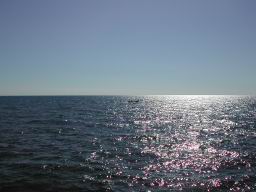DSCN7698.JPG