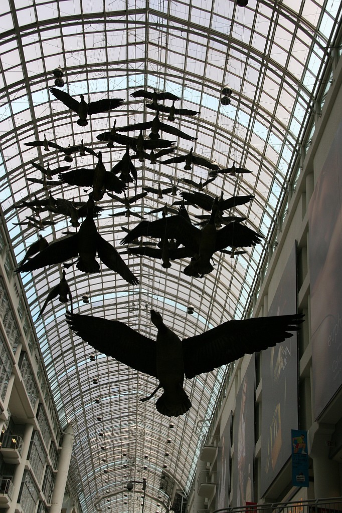IMG_09875.JPG