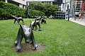 IMG_09894