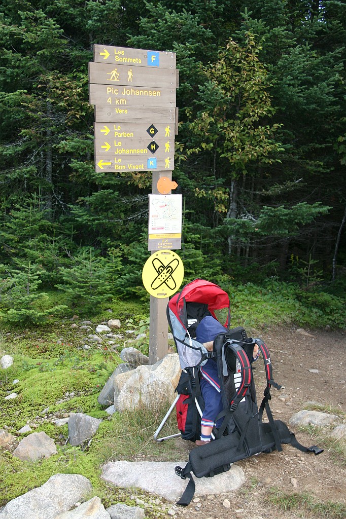 IMG_10203.JPG
