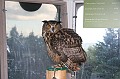IMG_10179