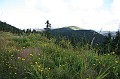 IMG_10181