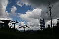 IMG_10221
