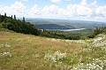 IMG_10234