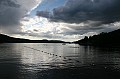 IMG_10246
