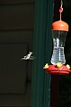 IMG_10308