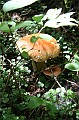 IMG_10354