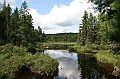 IMG_10365