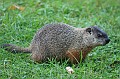 IMG_10539
