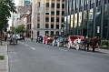 IMG_10813