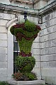 IMG_10834