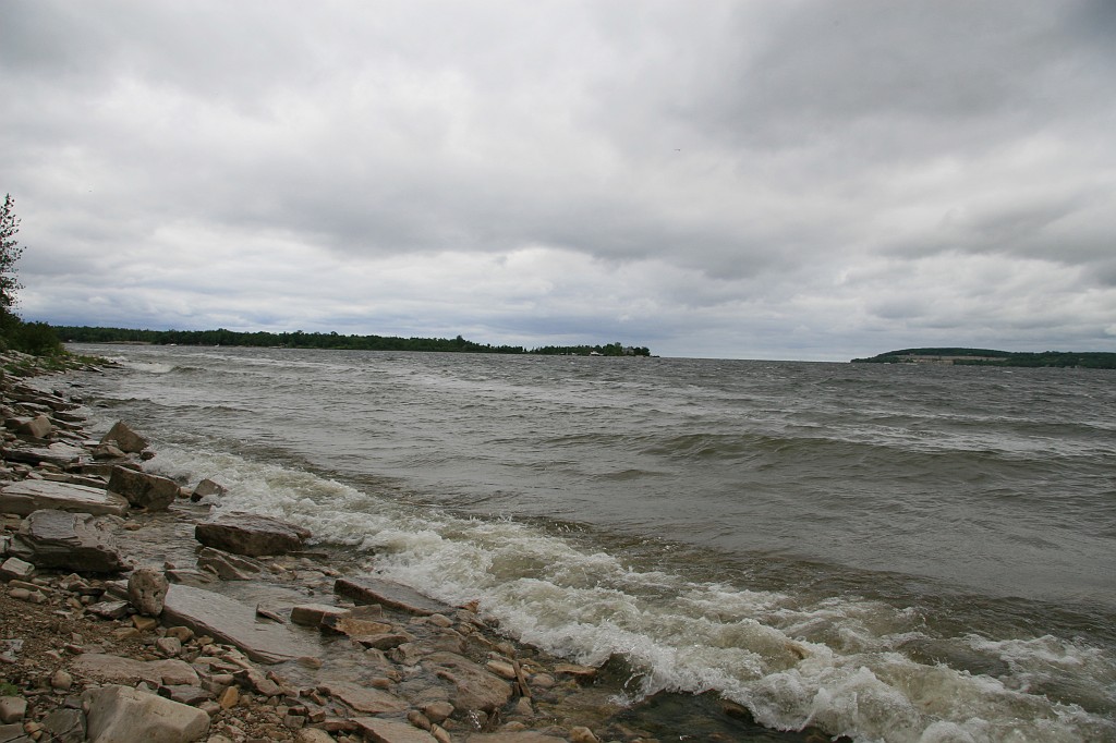 IMG_8994.JPG