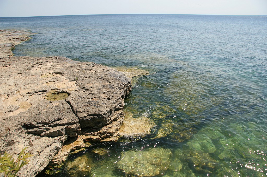 IMG_9221.JPG
