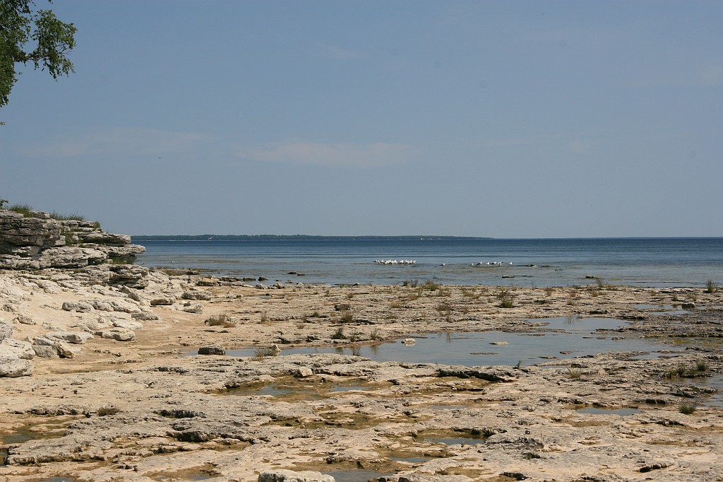 IMG_9284.JPG