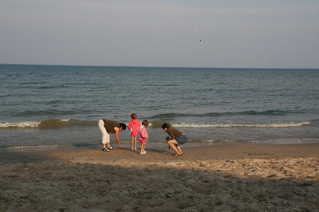 IMG_9405.JPG