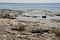 IMG_9291