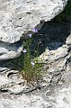 IMG_9296