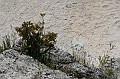IMG_9310