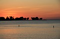 IMG_9729