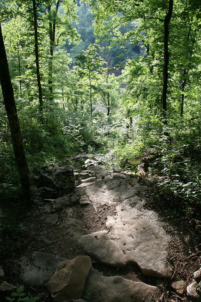 IMG_8036.JPG