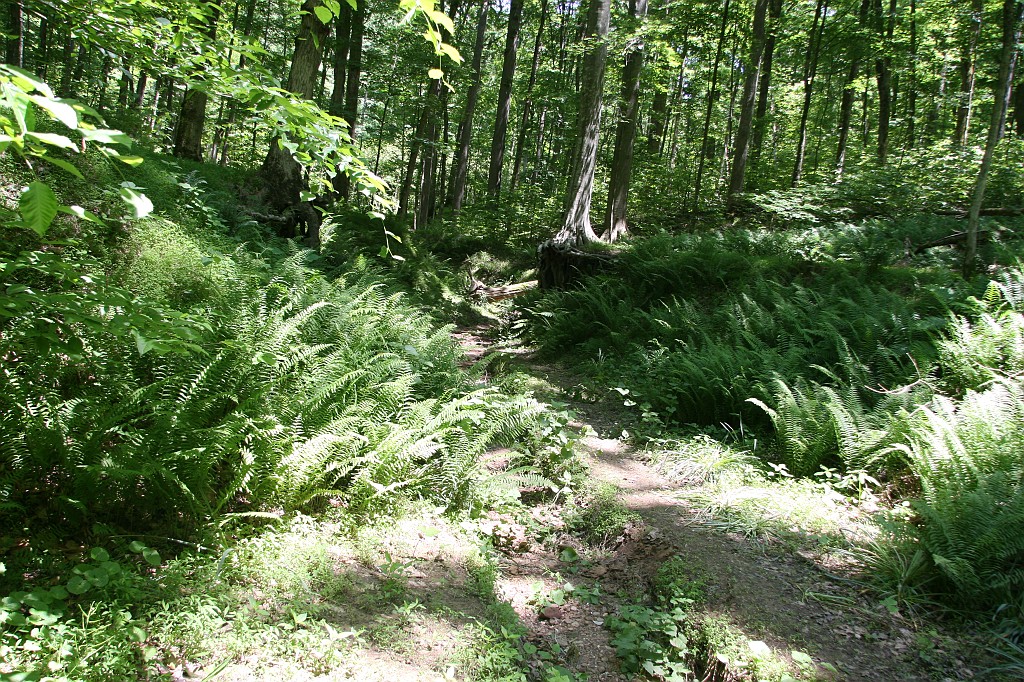 IMG_8116.JPG