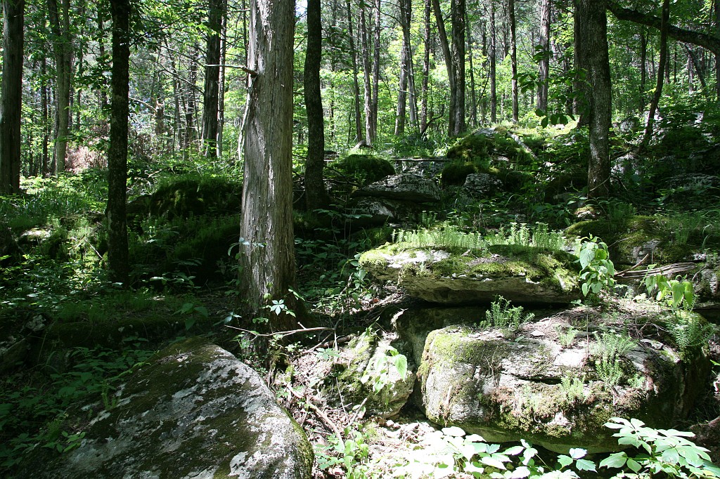 IMG_8143.JPG