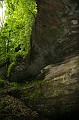 IMG_8009