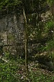 IMG_8022