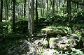 IMG_8143