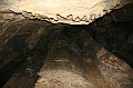 IMG_8206