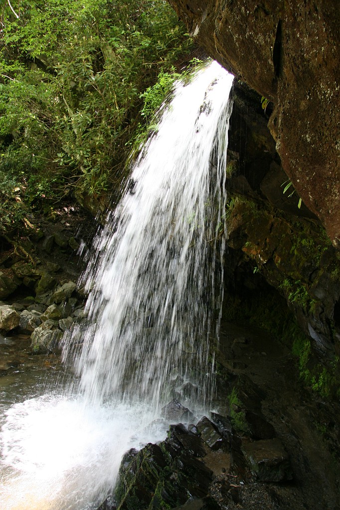 IMG_8695.JPG