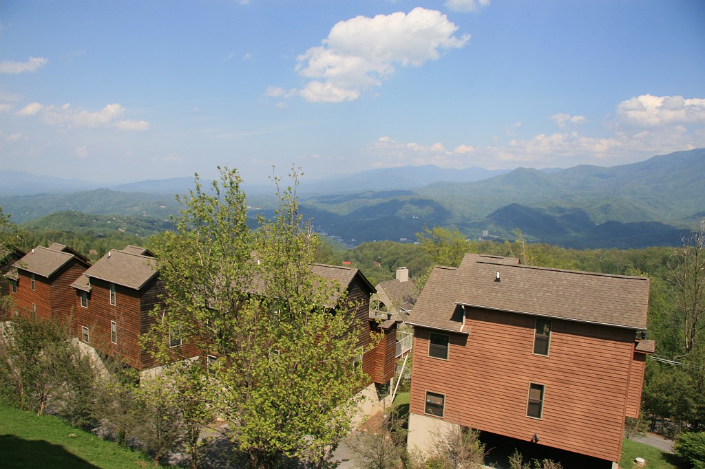 IMG_8849.JPG